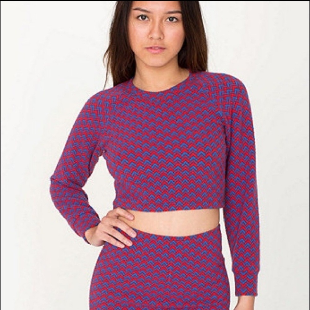 🌺American Apparel crop top sweater🌺